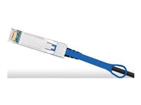 NVIDIA - Câble à attache directe - SFP+ (M) pour SFP+ (M) - 5 m - 6.3 mm - passif 980-9I683-00J005